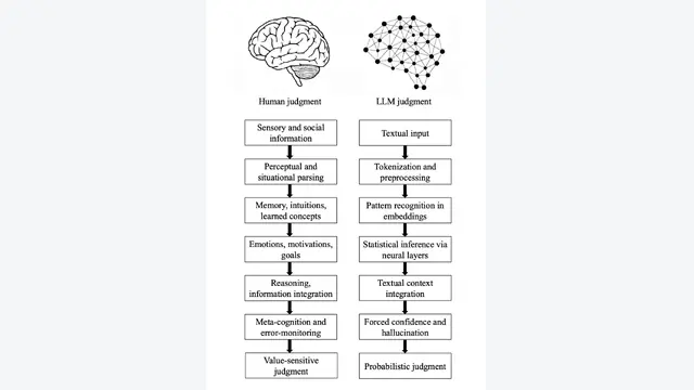Epistemological Fault Lines Between Human and Artificial Intelligence
