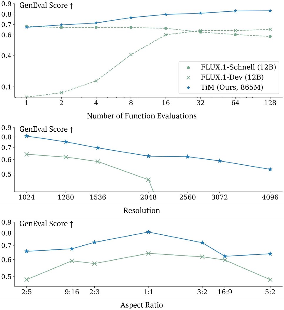 TiM across different NFEs, resolutions, and aspect ratios