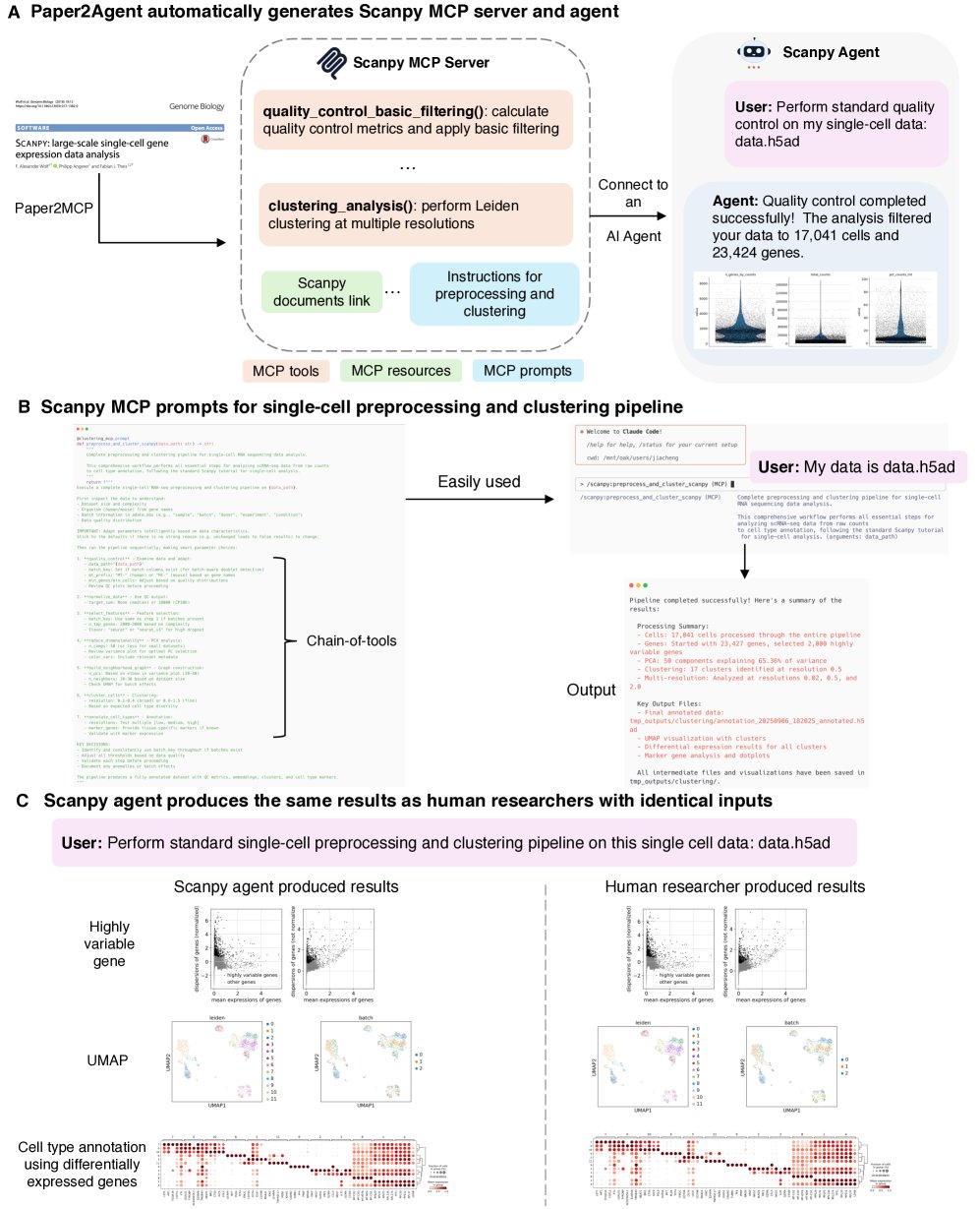 Scanpy 智能体概览