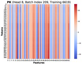 相似的低秩结构