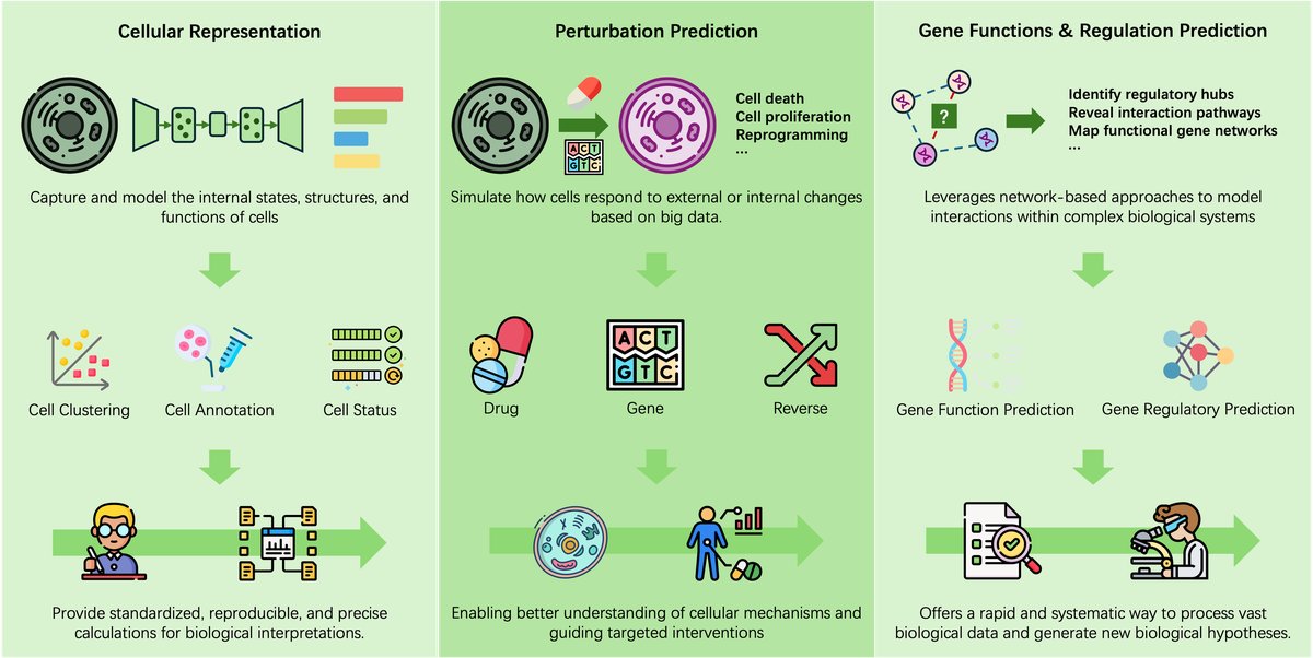 AI驱动的虚拟细胞建模主要任务概览
