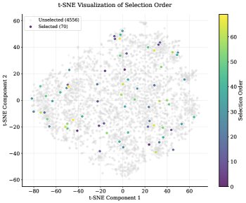 t-SNE 可视化选择顺序