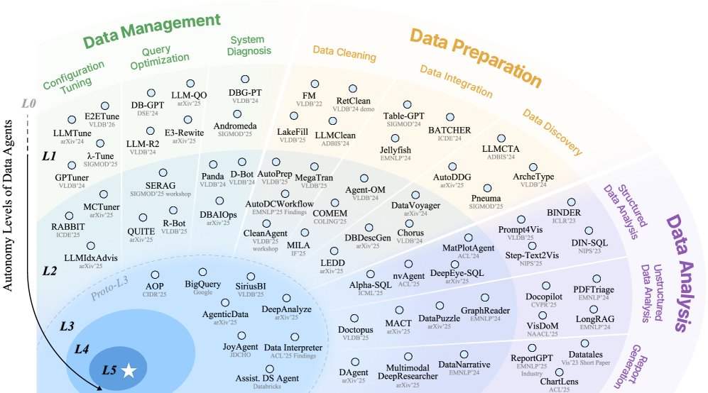 数据智能体各级别代表
