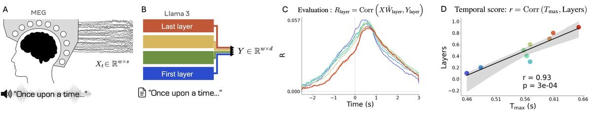 实验方法示意图