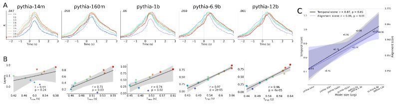 时间对齐随模型规模增长而增强