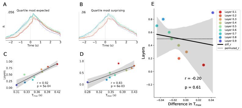 对齐分数与词语可预测性关系不大