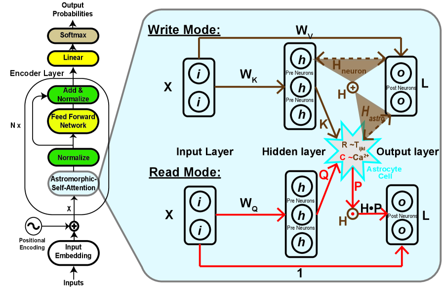 RMAAT 架构概览