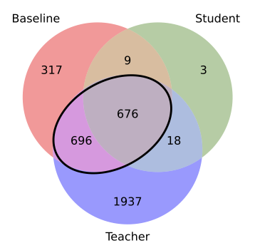 Memorization Dynamics in Knowledge Distillation for Language Models 论文图示