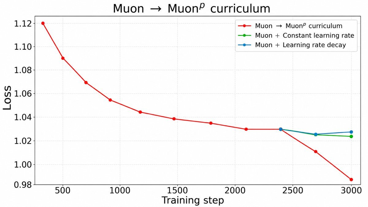 Muon到Muon^p课程学习的损失变化