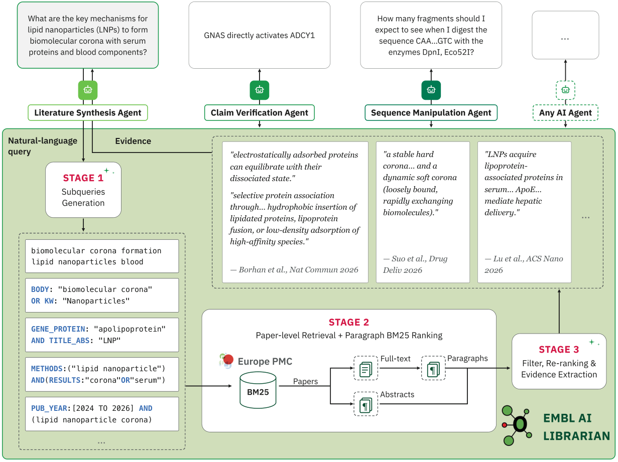 EMBL AI Librarian 系统架构总览
