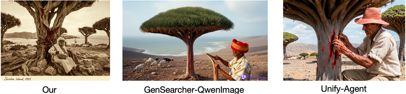 索科特拉岛历史案例生成对比